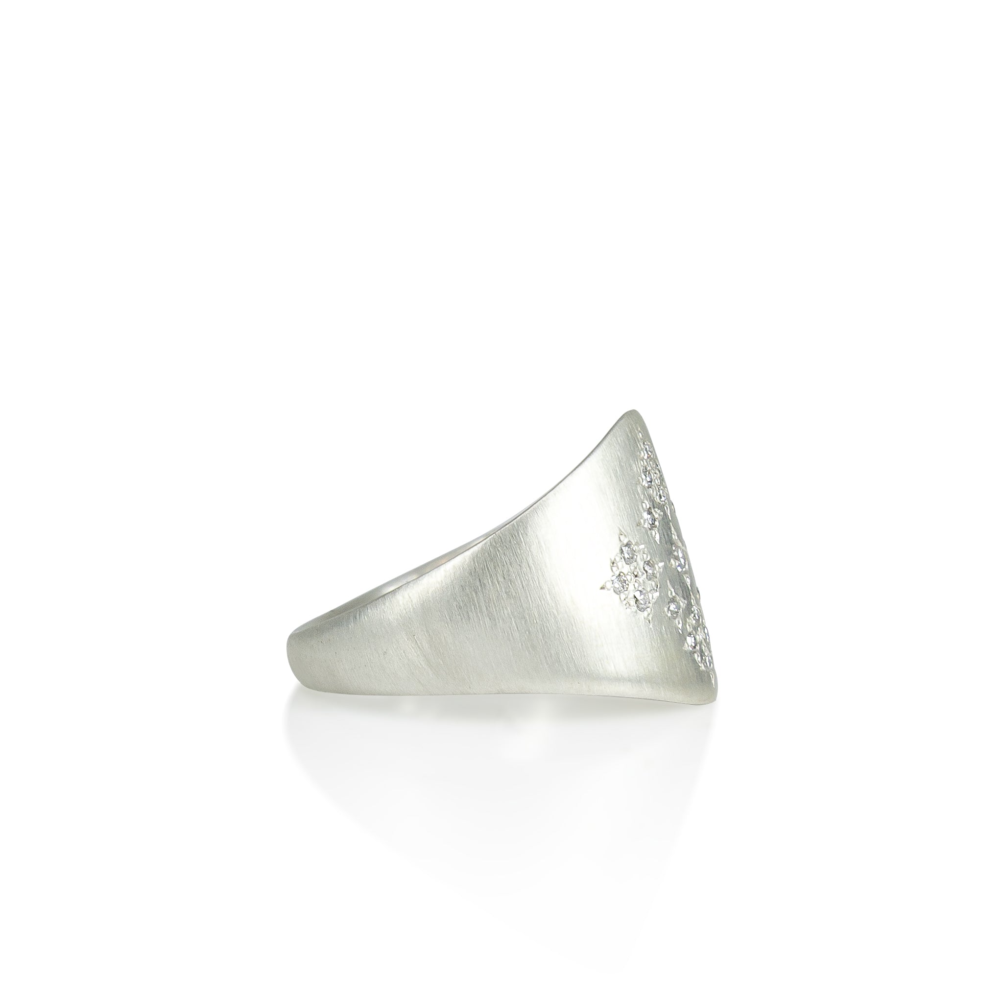 Moon & Stars Shield Ring in Silver