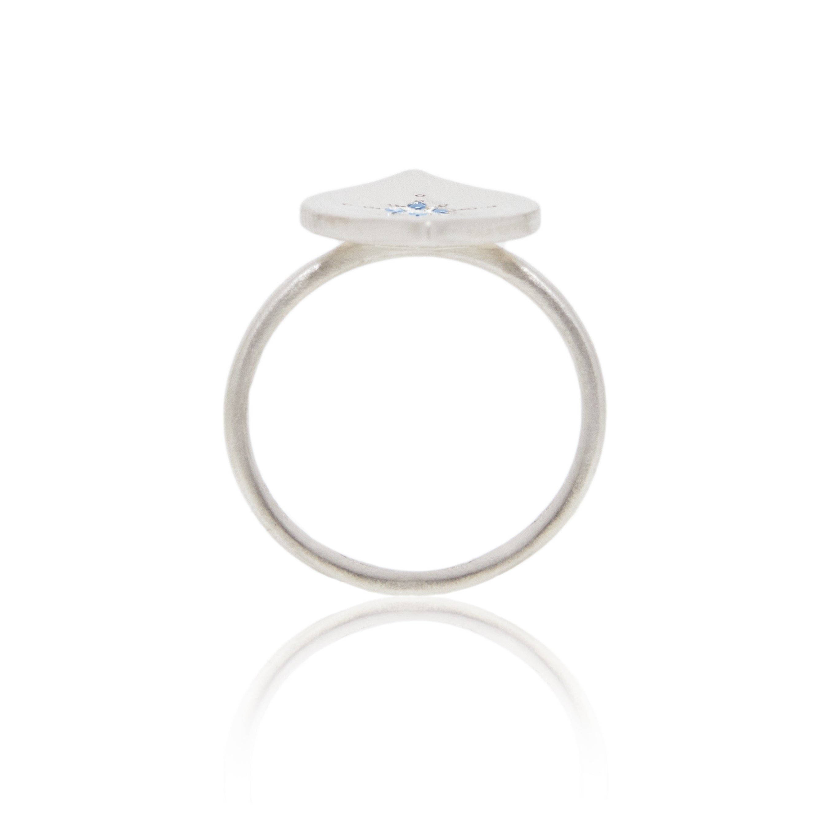 Silver Night Ring