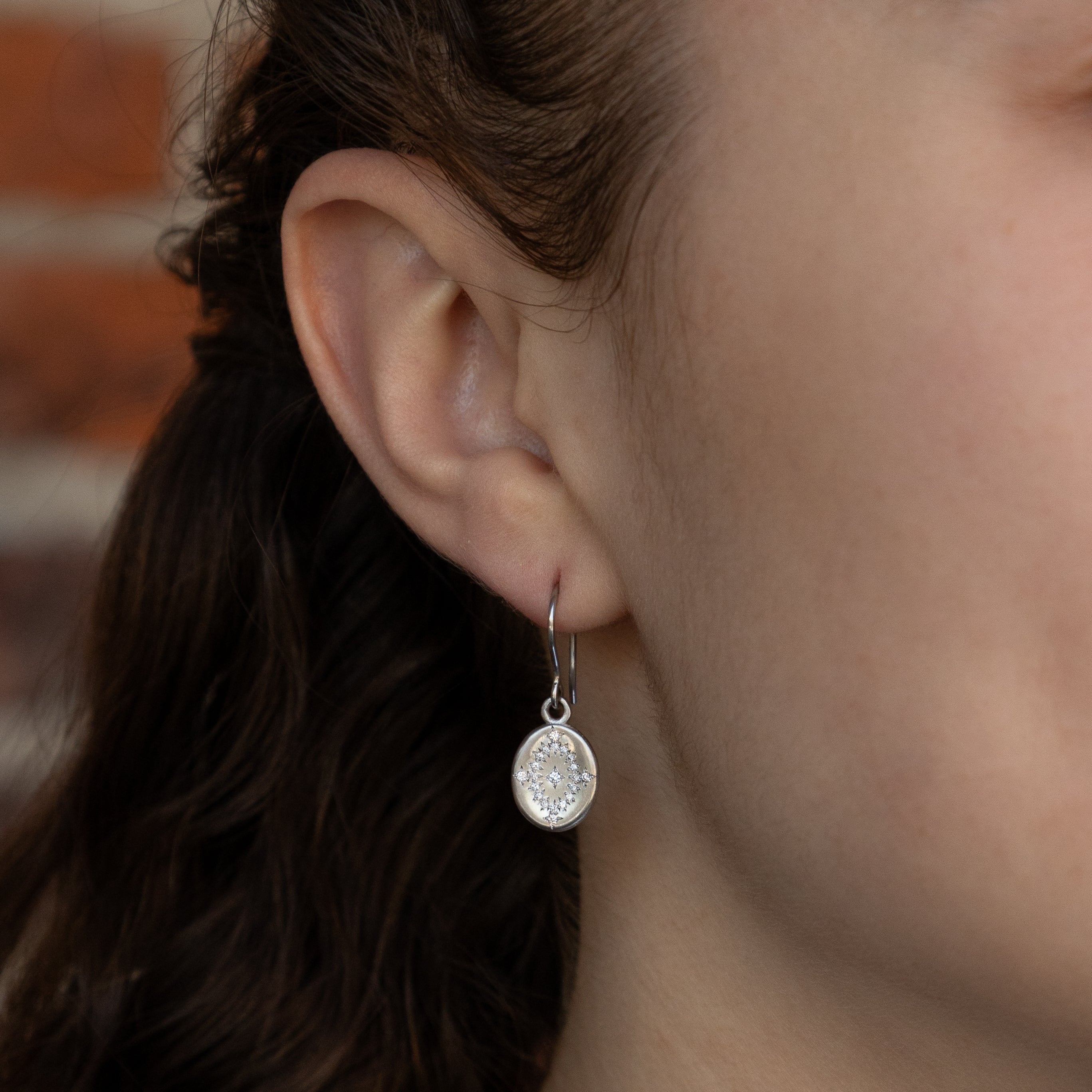 Day Dream Earrings in Platinum