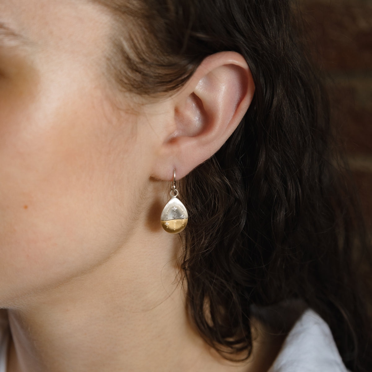 Horizon Earrings