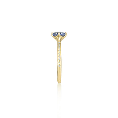 Oval Sapphire Rosehip Ring