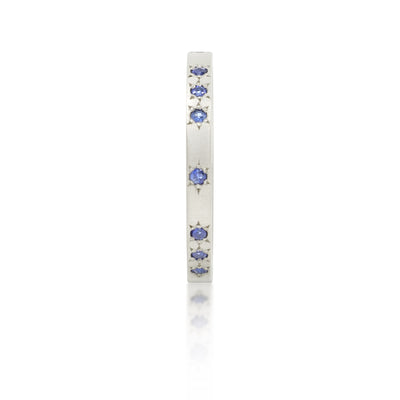 Thin Band in Platinum