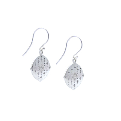 Silver earrings with diamond