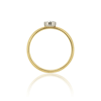 Two Tone Vertical Set Ring